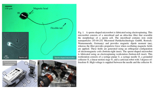 Sperm-shaped magnetic microrobots: Fabrication using electrospinning, modeling, and characterization