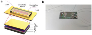 Microfluidics integrated lithography‐free nanophotonic biosensor for the detection of small molecules