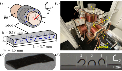Learning of sub-optimal gait controllers for magnetic walking soft millirobots