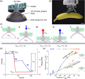 3D‐printed pneumatically controlled soft suction cups for gripping fragile, small, and rough objects