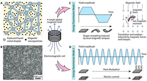 Liquid Metal-Elastomer Composites with Dual-Energy Transmission Mode for Multifunctional Miniature Untethered Magnetic Robots