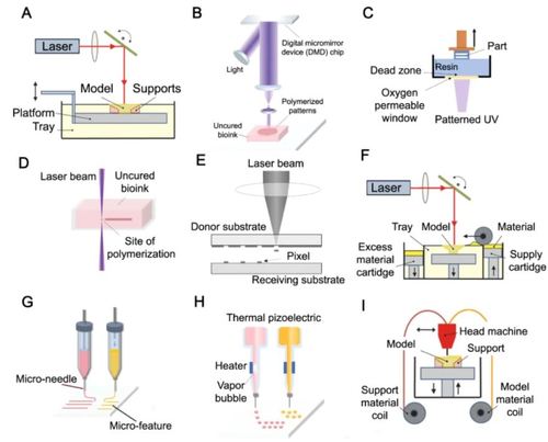 3D-printed microrobots from design to translation