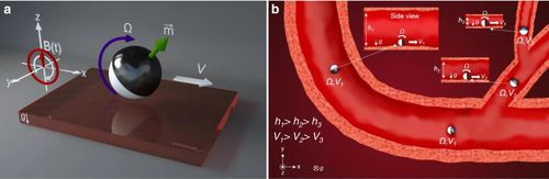 Reduced rotational flows enable the translation of surface-rolling microrobots in confined spaces