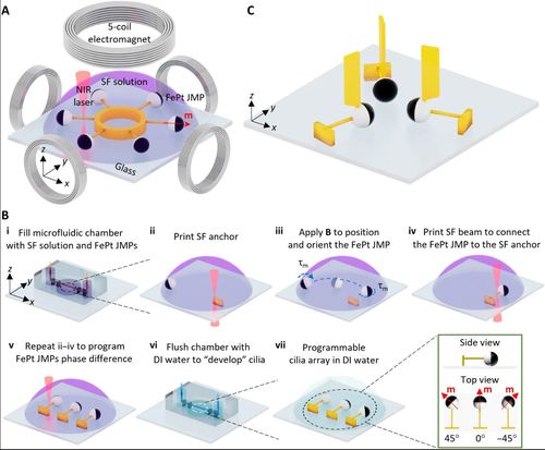 3D-printed micrometer-scale wireless magnetic cilia with metachronal programmability