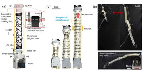 Deployable Soft Origami Modular Robotic Arm With Variable Stiffness Using Facet Buckling