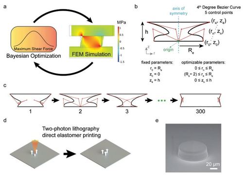 Machine Learning-Based Shear Optimal Adhesive Microstructures with Experimental Validation