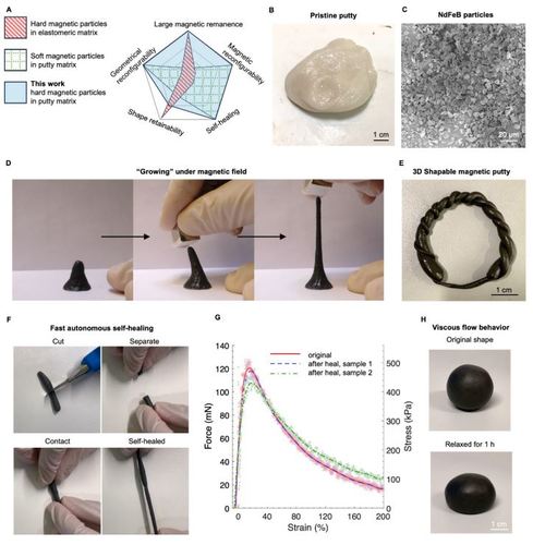 Magnetic Putty as A Reconfigurable, Recyclable, And Accessible Soft Robotic Material
