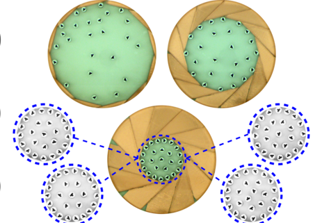 Reprogramming Of Macroscopic Self-assembly With Dynamic Boundaries ...