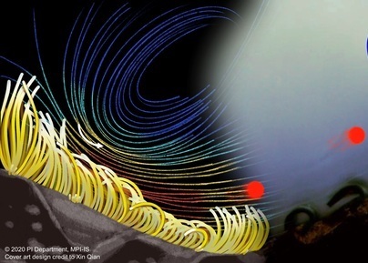 Bioinspired cilia help understand which movement pattern generates maximal fluid flows