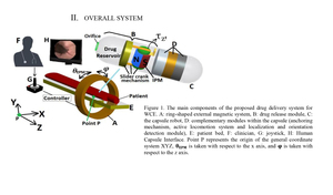 Analysis of the magnetic torque on a tilted permanent magnet for drug delivery in capsule robots