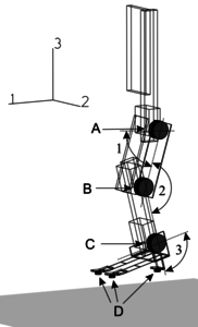 Simple and low-cost compliant leg-foot system