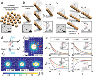 Programmable collective behavior in dynamically self‐assembled mobile microrobotic swarms