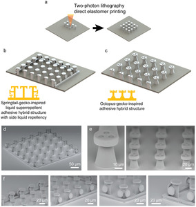 3D printing of elastomeric bioinspired complex adhesive microstructures