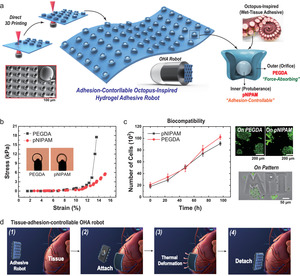 A Tissue Adhesion-Controllable and Biocompatible Small-Scale Hydrogel Adhesive Robot