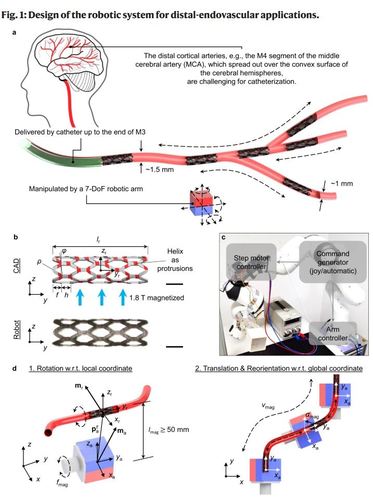 Adaptive wireless millirobotic locomotion into distal vasculature