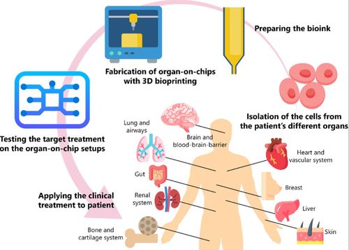 3D bioprinted organ-on-chips