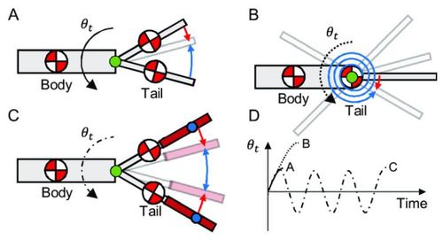 Active Tail Configurations for Enhanced Body Reorientation Performance