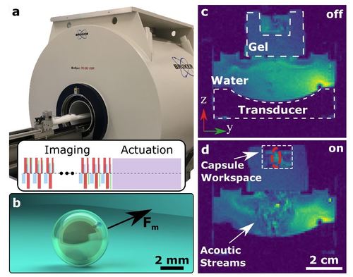 MRI-powered Magnetic Miniature Capsule Robot with HIFU-controlled On-demand Drug Delivery