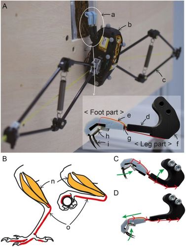 Avian-Inspired Perching Mechanism for Jumping Robots