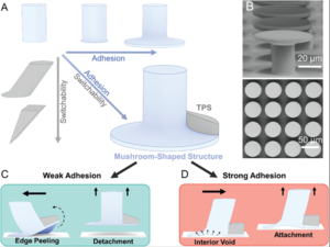 Bioinspired microstructured adhesives with facile and fast switchability for part manipulation in dry and wet conditions