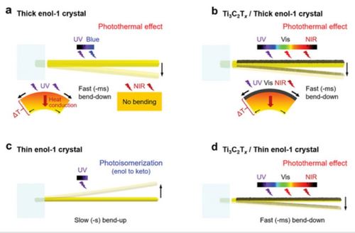 Broad-Wavelength Light-Driven High-Speed Hybrid Crystal Actuators Actuated Inside Tissue-Like Phantoms