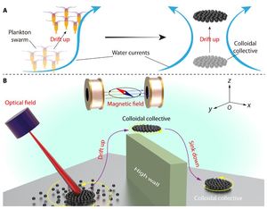 Bioinspired self-assembled colloidal collectives drifting in three dimensions underwater