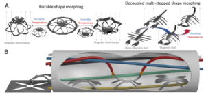 Single-step precision programming of decoupledmultiresponsive soft millirobots