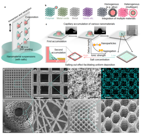 Capillary trapping of various nanomaterials on additively manufactured scaffolds for 3D micro-/nanofabrication